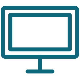 Computer Users
