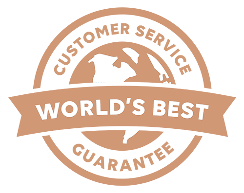 <p><strong>Extraordinary Service</strong></p>